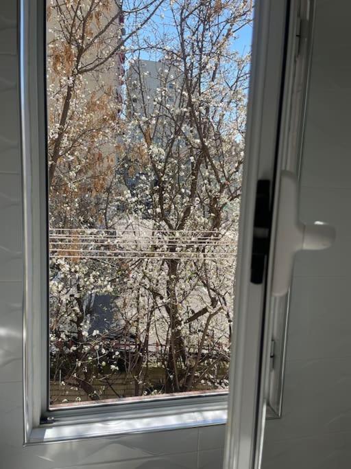 Warm Apartment In The Center Of Tirana City 外观 照片