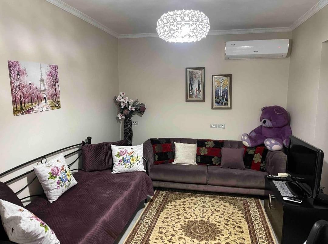 Warm Apartment In The Center Of Tirana City 外观 照片